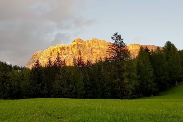 Immagini: Oies e dintorni