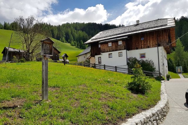 Immagini: Oies e dintorni