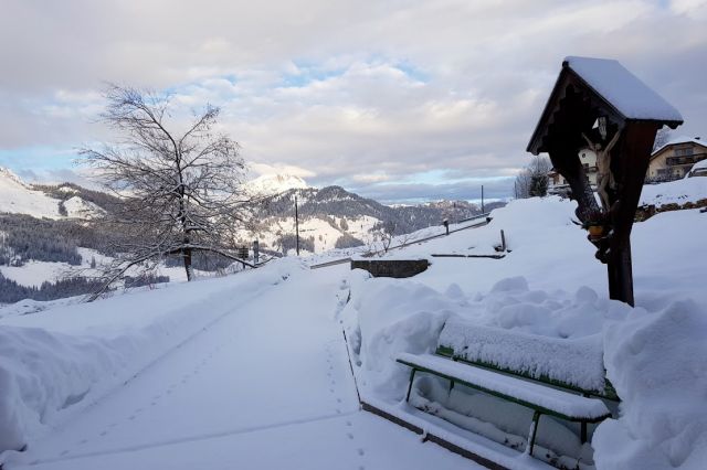 Immagini: Oies e dintorni