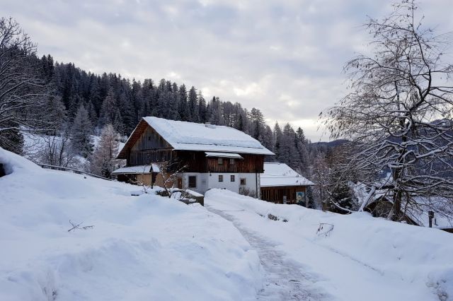 Immagini: Oies e dintorni